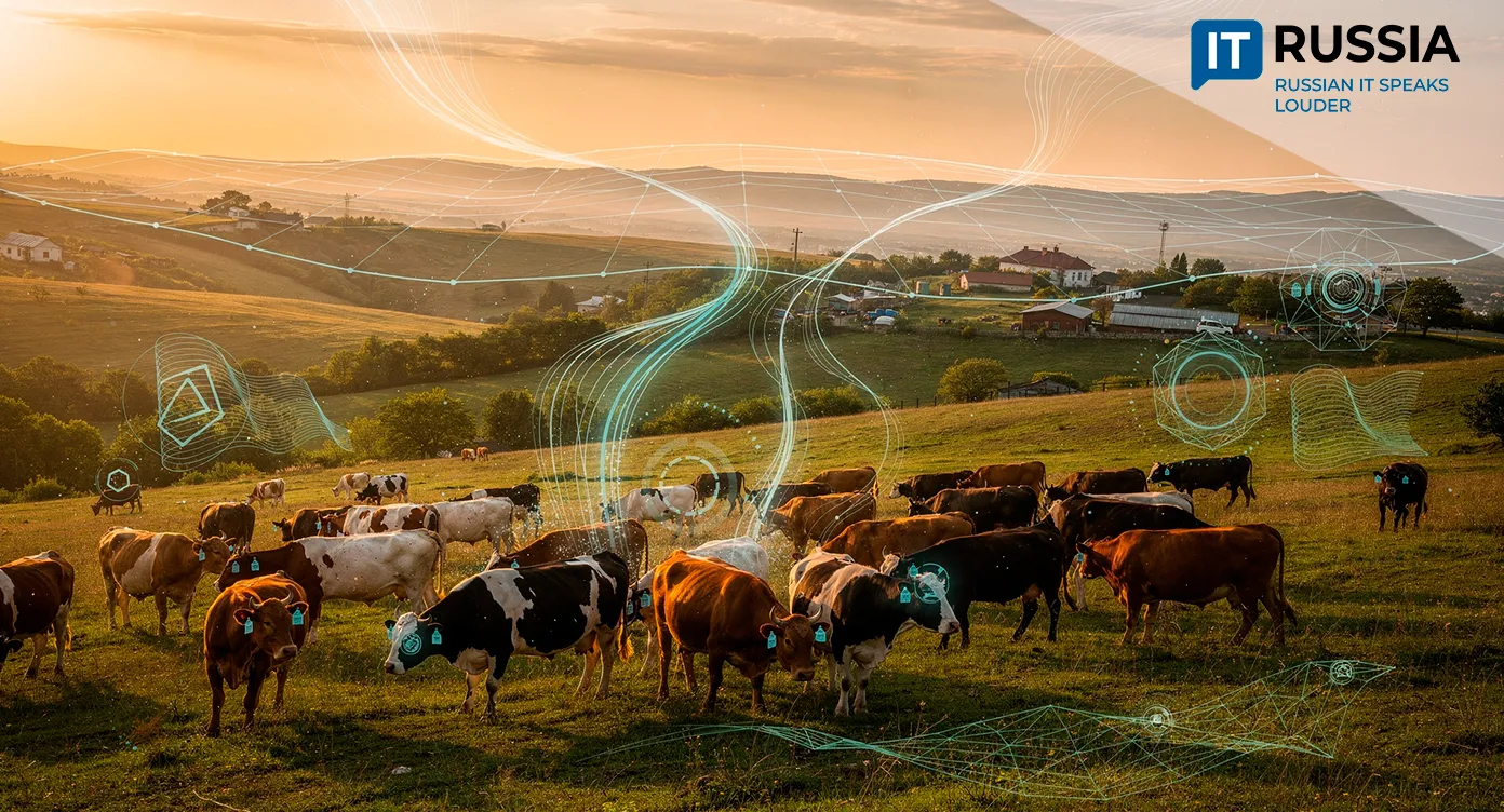 Electronic Passports for Cattle