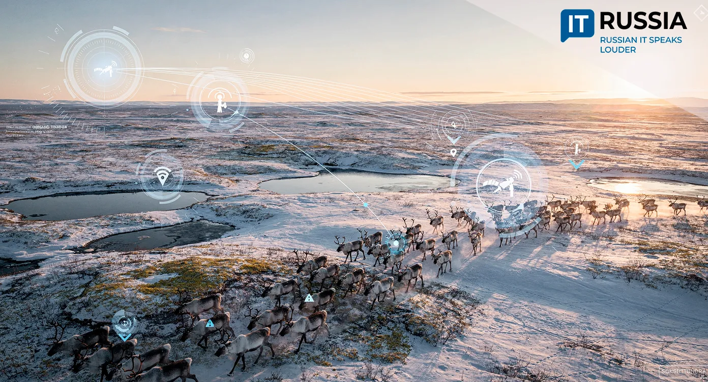 Satellite Monitoring of Reindeer Goes Large-Scale in Yamal