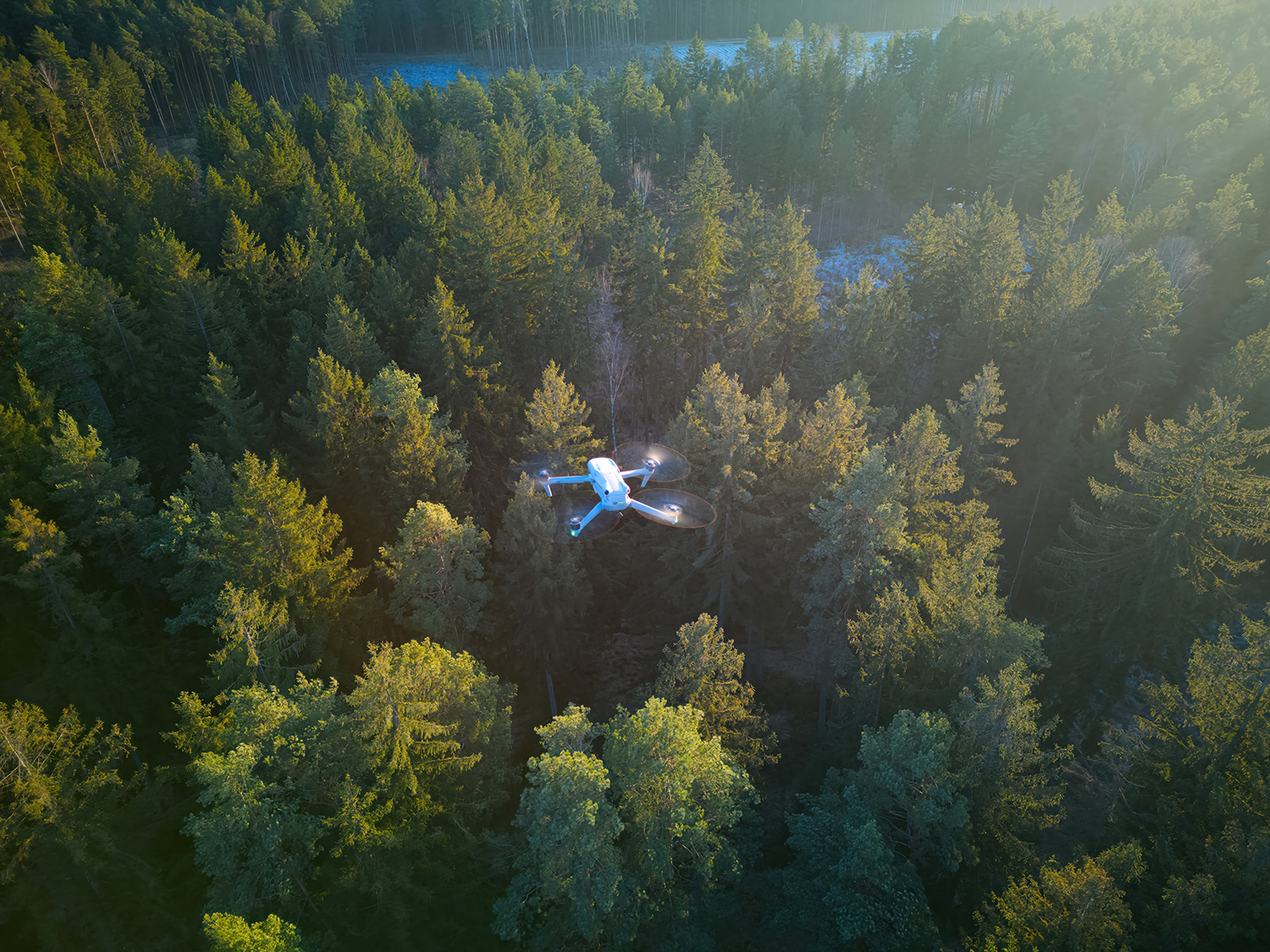 Photo - Forests and Satellites: How Russian Technologies Are Saving the Planet’s Green Lungs