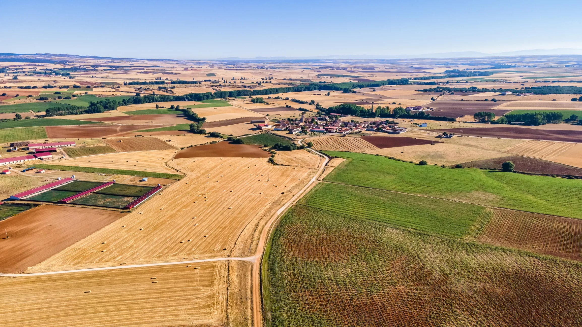 Russia Offers Global Access to Satellite Data for Agricultural Monitoring