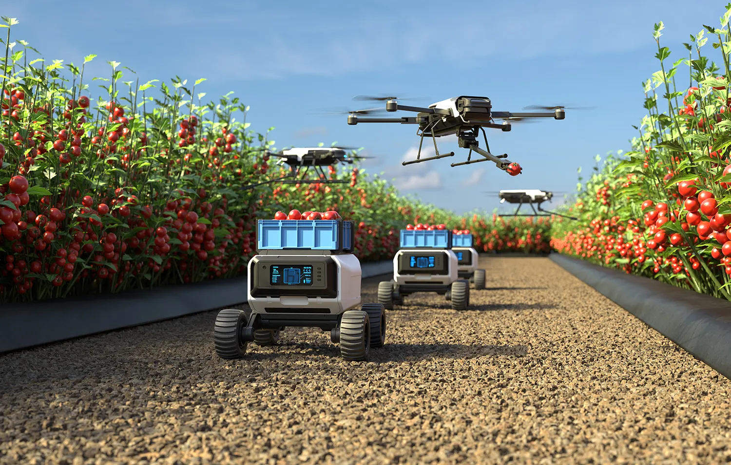 Photo - “The Tireless Worker”: Russia’s New Agrorobot to Free Farmers from Repetitive Tasks