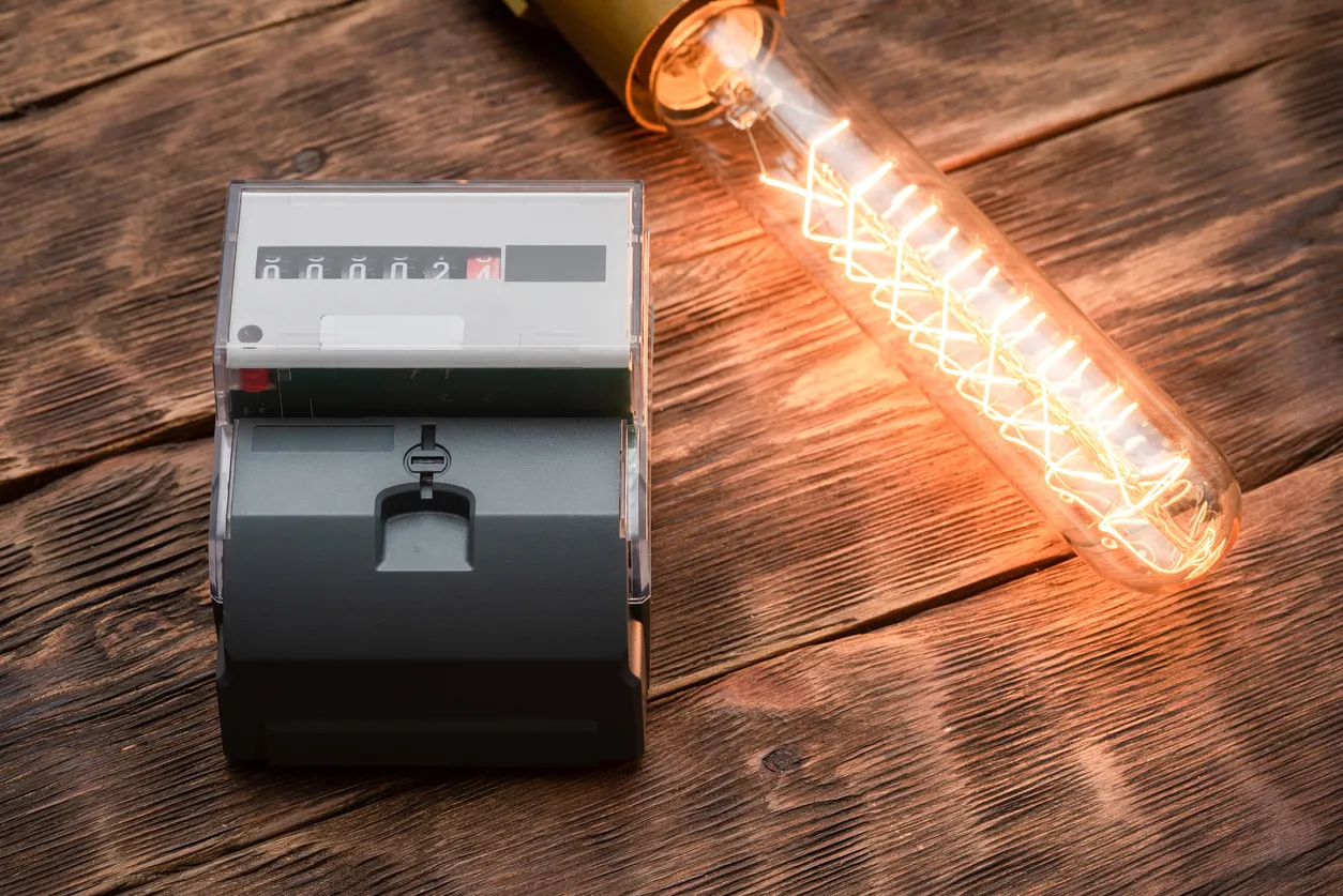 Virtual Assistant to Handle Electricity Meter Readings in Russia