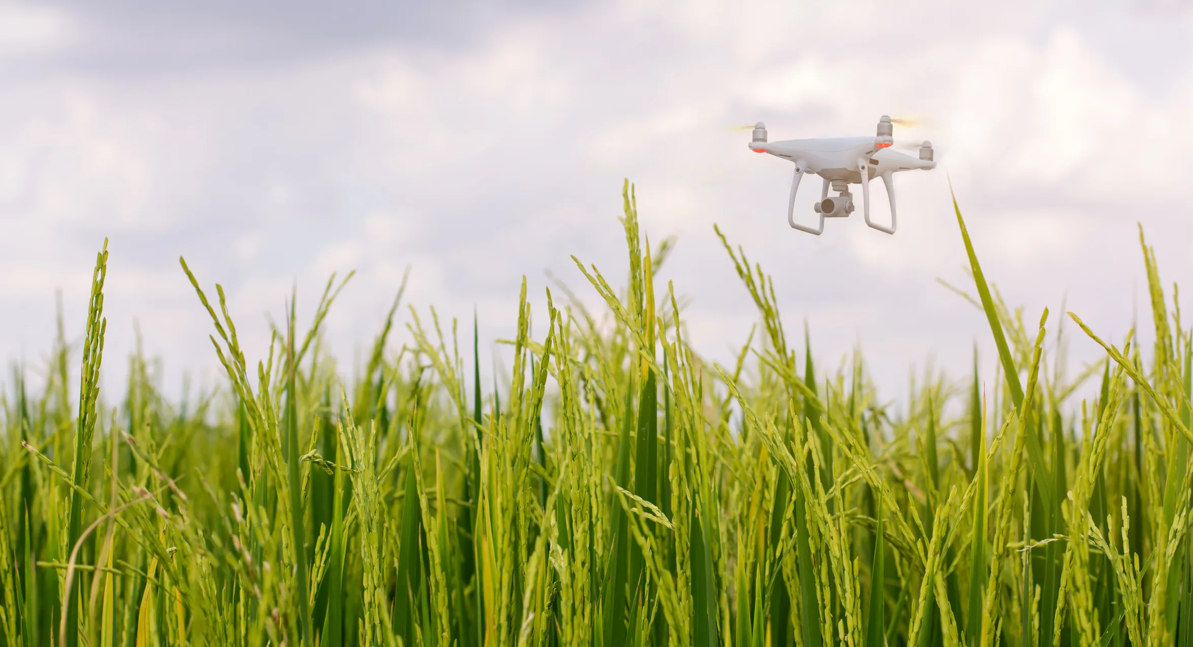 Russia Rolls Out Mobile Labs to Train Drone Operators for Smart Agriculture