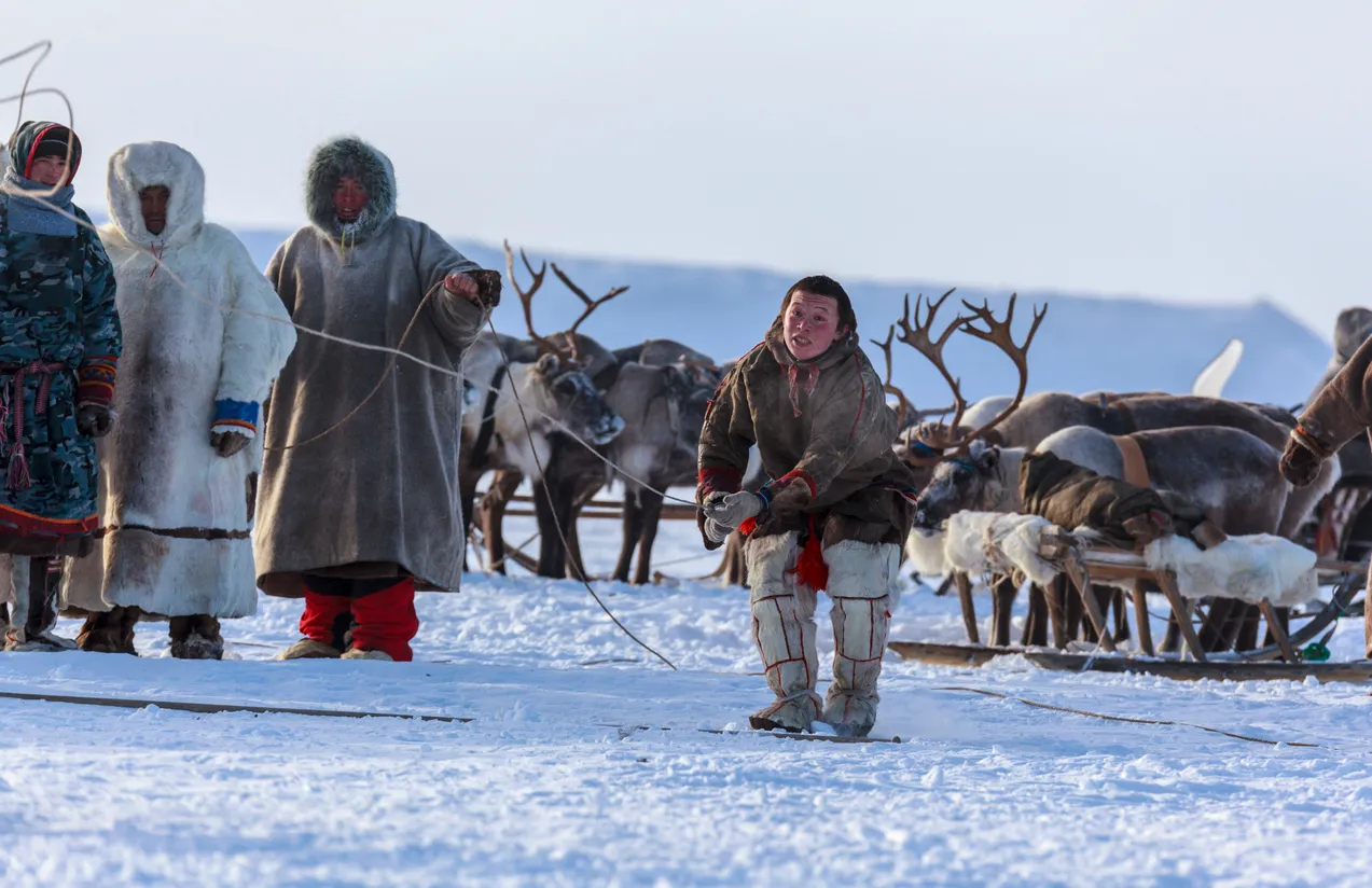 Russia’s Digital Services Expand to Support Yamal’s Nomadic Reindeer Herders