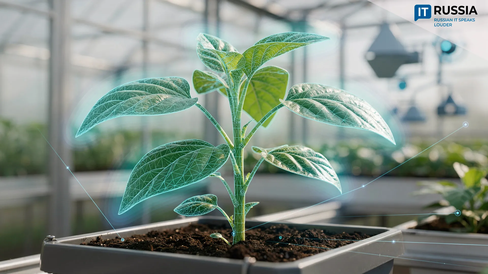 Digital Phenotyping to Accelerate Crop Breeding