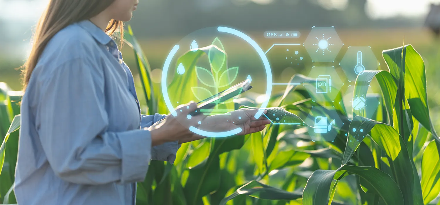 Photo - Smart Defender: Russian AI Helps Safeguard Crop Yields