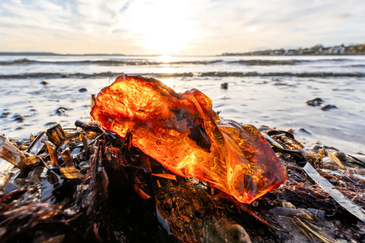 Russia to Track Amber with Artificial Intelligence
