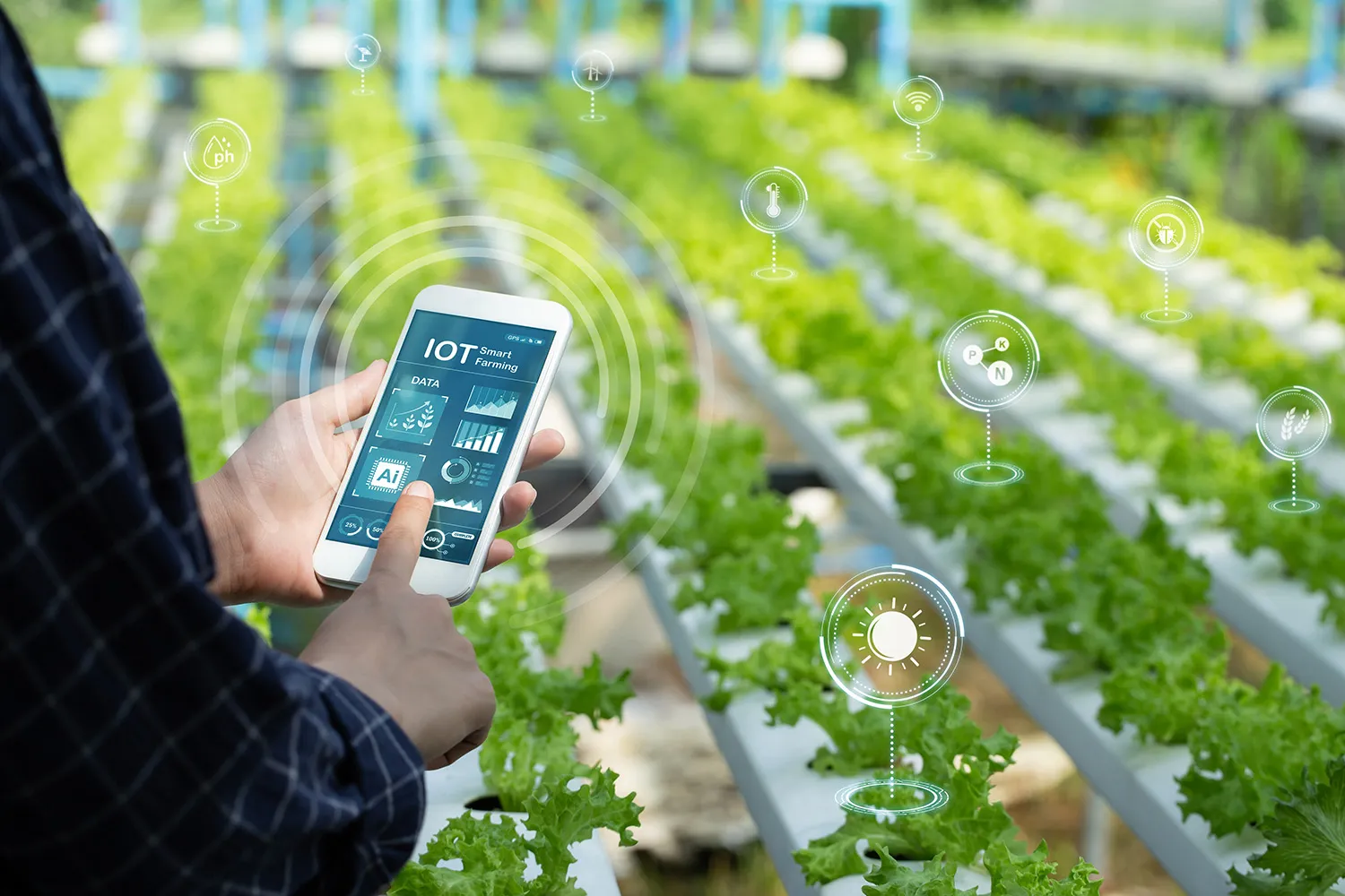 Photo - Digital Mosaic: AI and Satellite Tech Boost Crop Planning in Russia