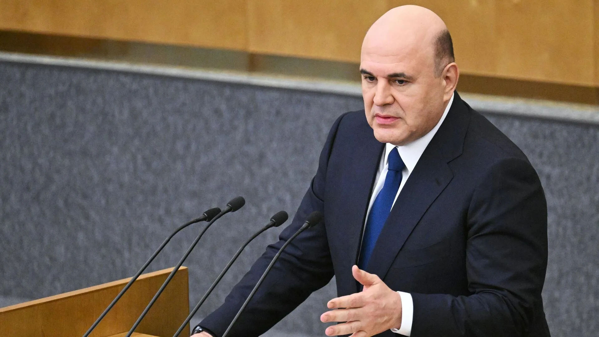 Mishustin Orders Strategy for Digital Platforms Across the Economy