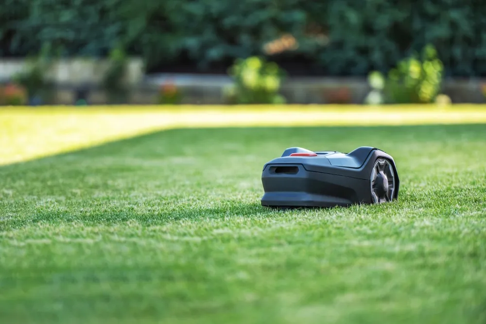Robotic Gardeners Debut in a Russian Park