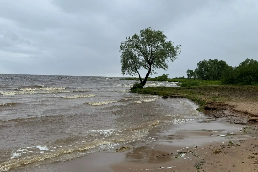 ИИ проложили путь в «музыкальную деревню» России на берегу озера Ильмень