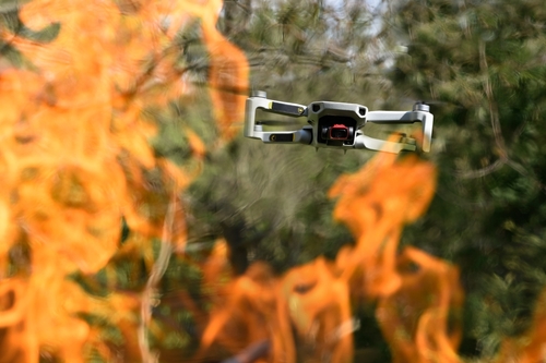 Russian AI to Be Tested in Wildfire Forecasting This Summer