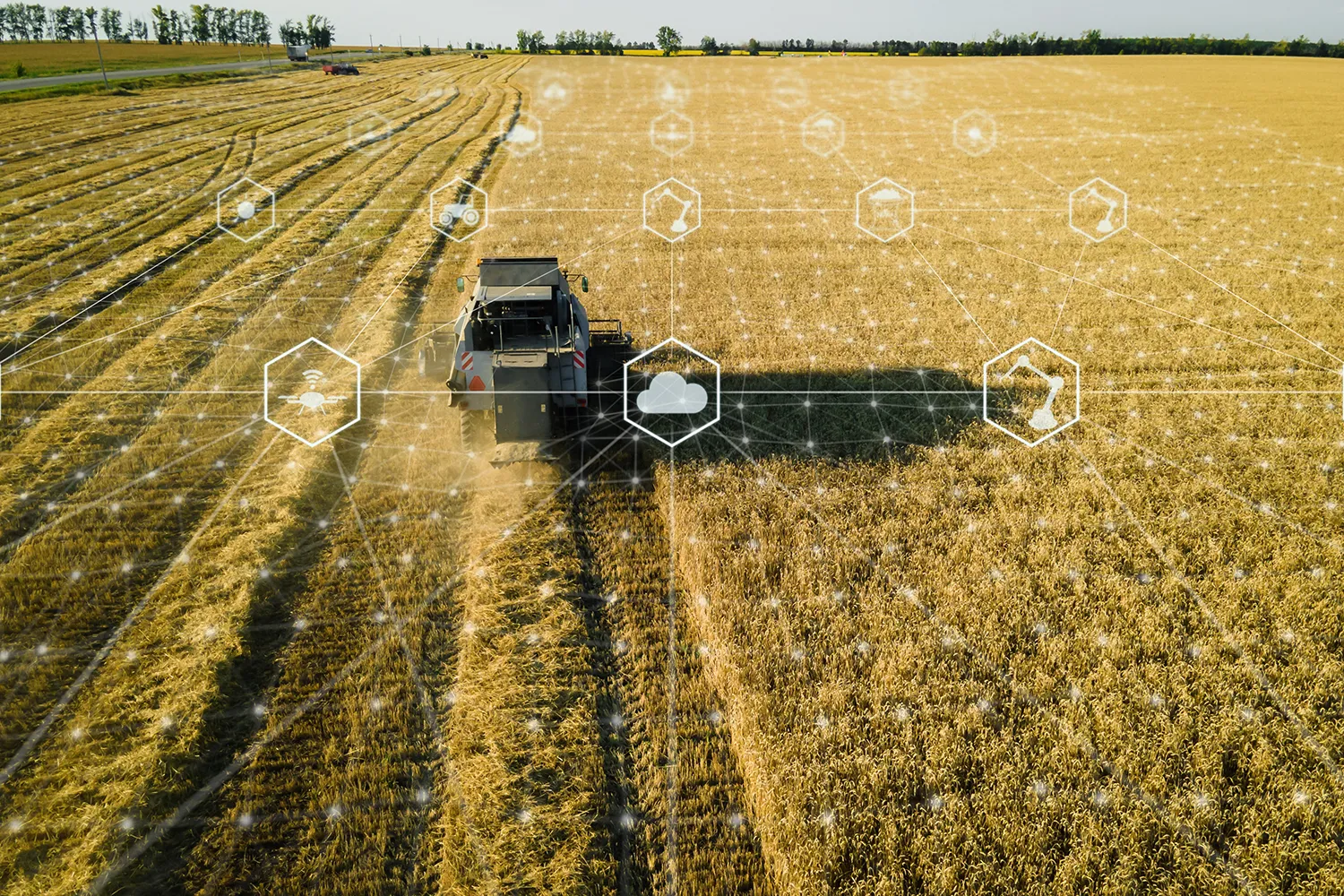 Photo - Sharing Expertise: Russian AgTech Company Launches Farm Digitization Pilot in Uganda