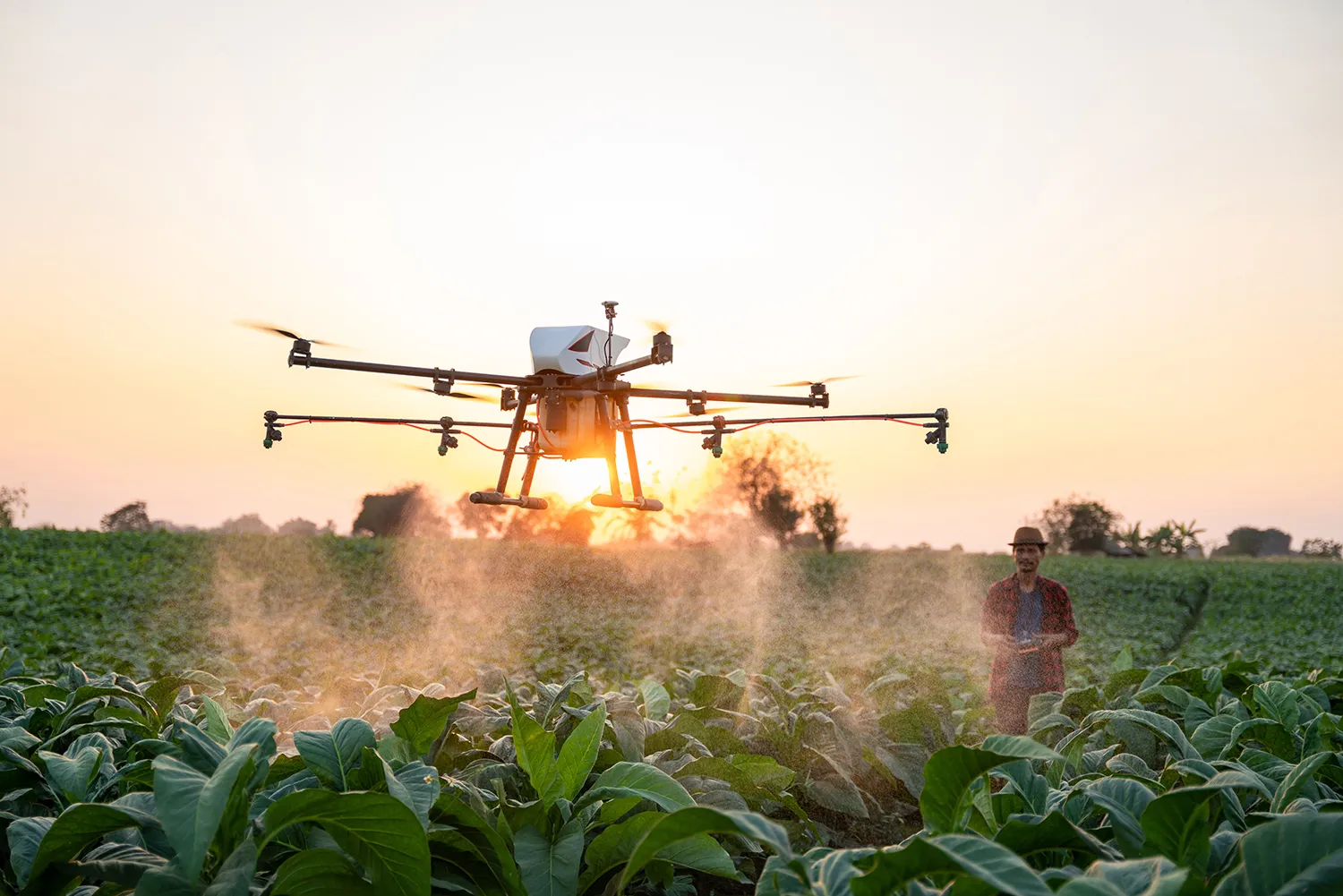 Photo - Smart Fertilization: AI Helps Farmers Cut Costs