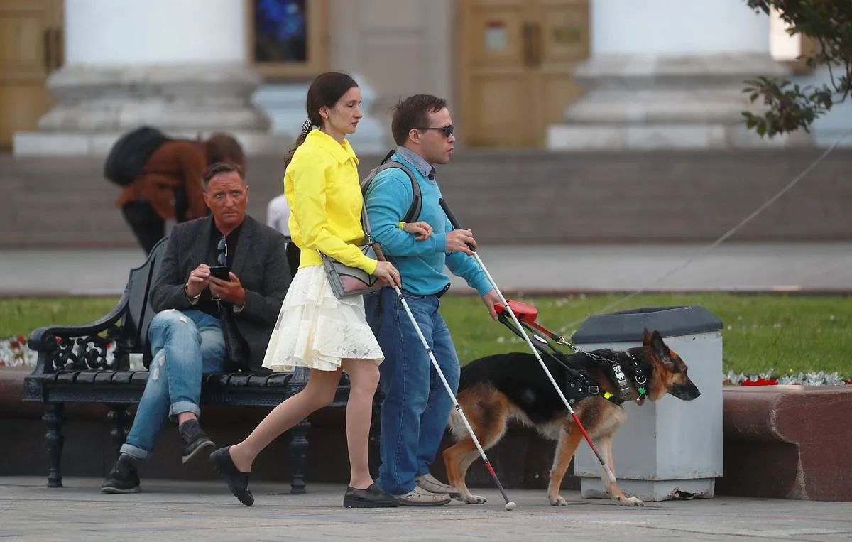 Neural Network in Smartphone Helps Visually Impaired People Detect Potholes and Stairs