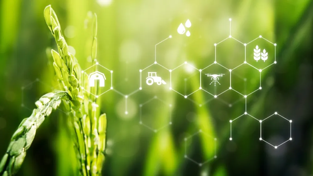 Russia Launches a Large-Scale Digital Overhaul of Its Agriculture Ministry