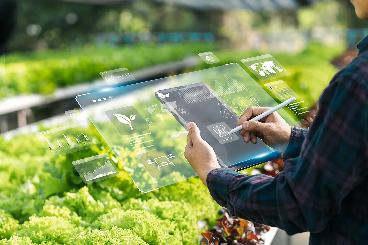 Photo - Smart Defender: Russian AI Helps Safeguard Crop Yields