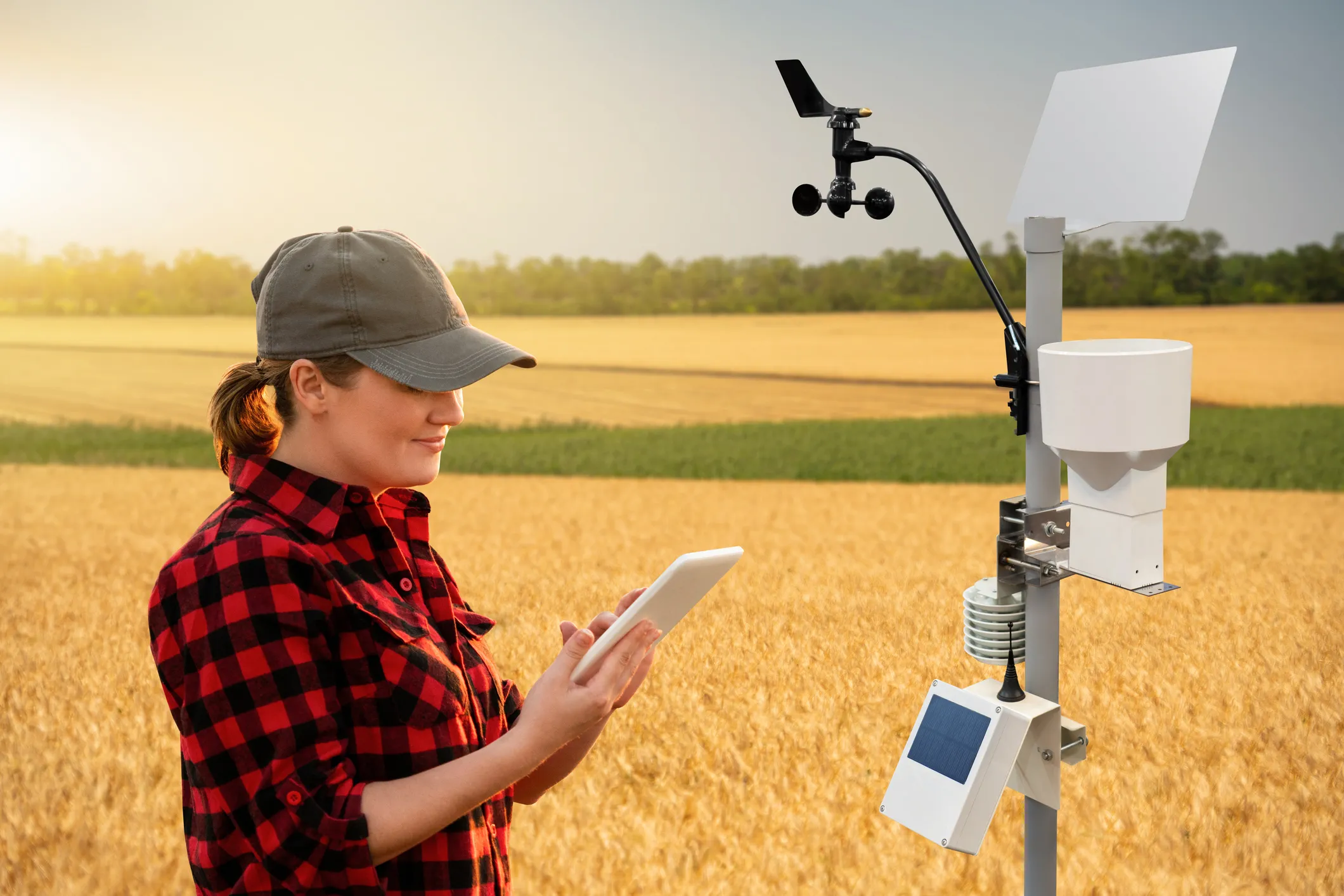 Tatarstan to Deploy One of Russia’s Largest Agro-Meteorological Networks