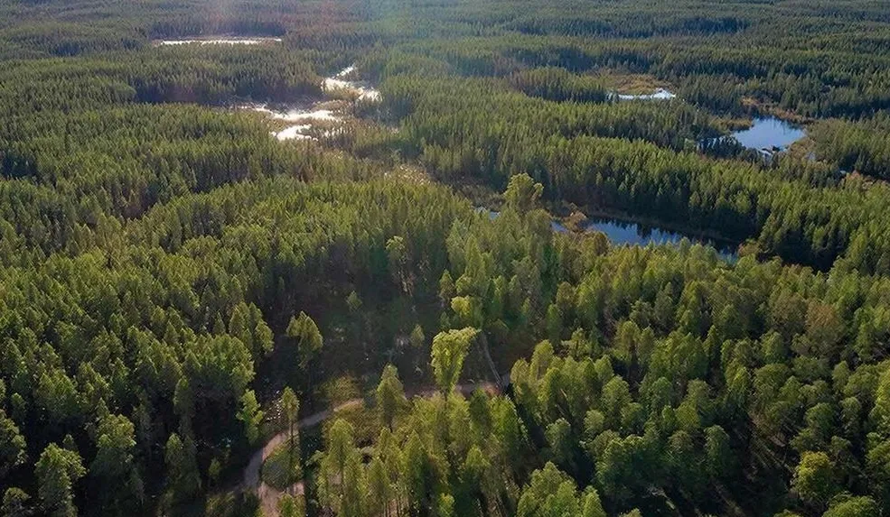 New Technologies to Stop Illegal Logging at Lake Baikal