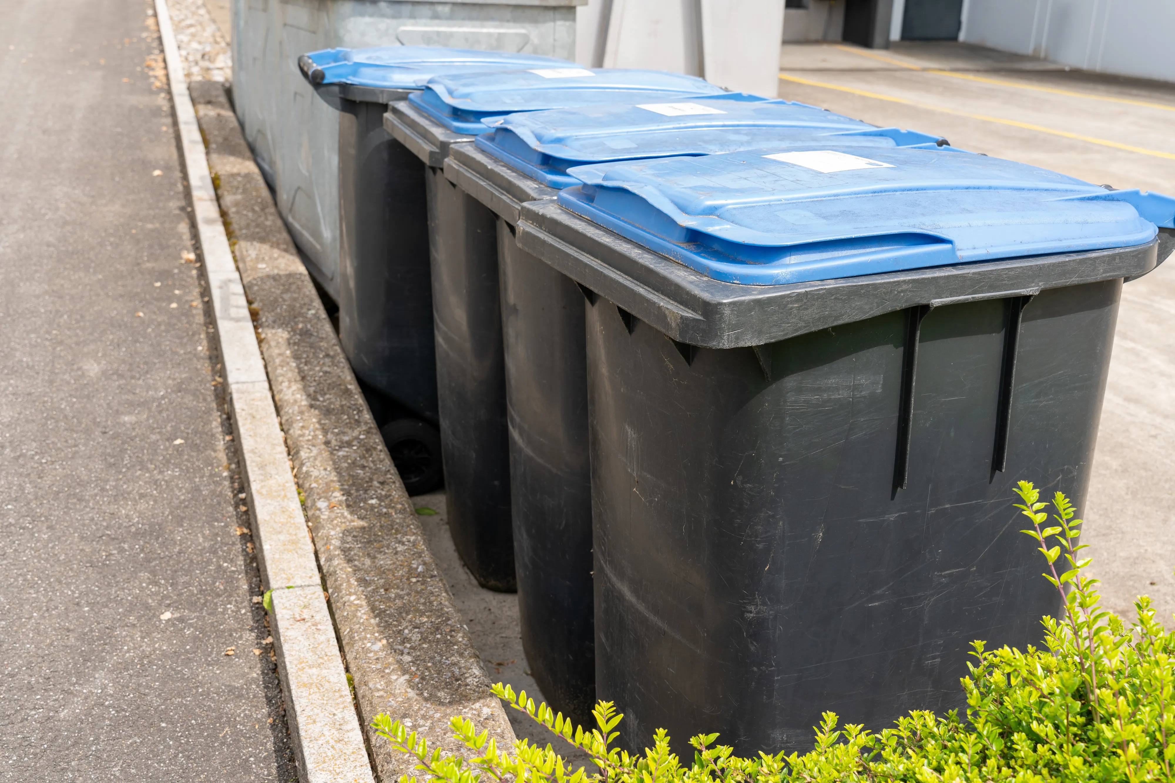 Russia Is Rolling Out AI Trash Monitoring