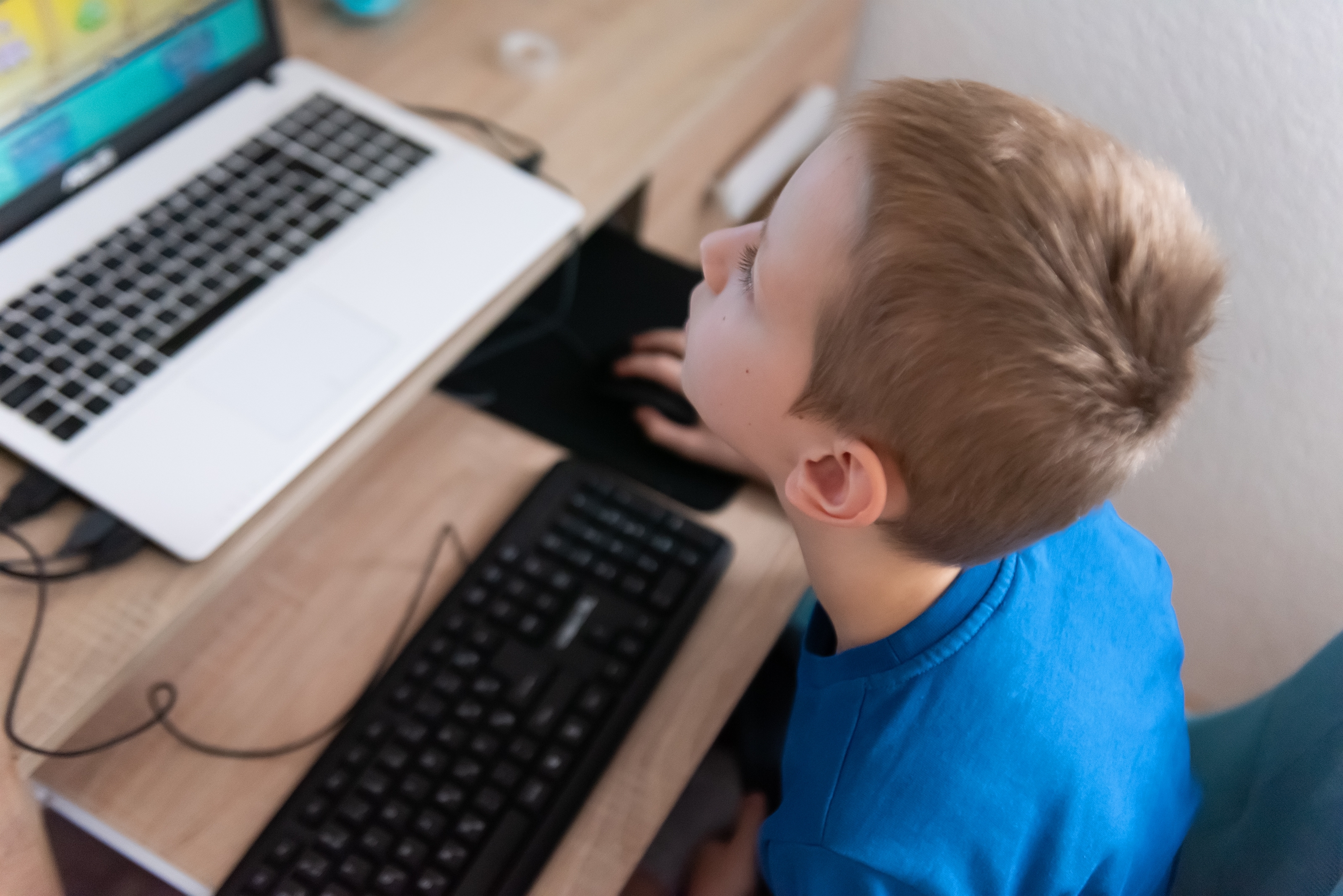 Russia Dramatically Expands Free University Slots for IT Students