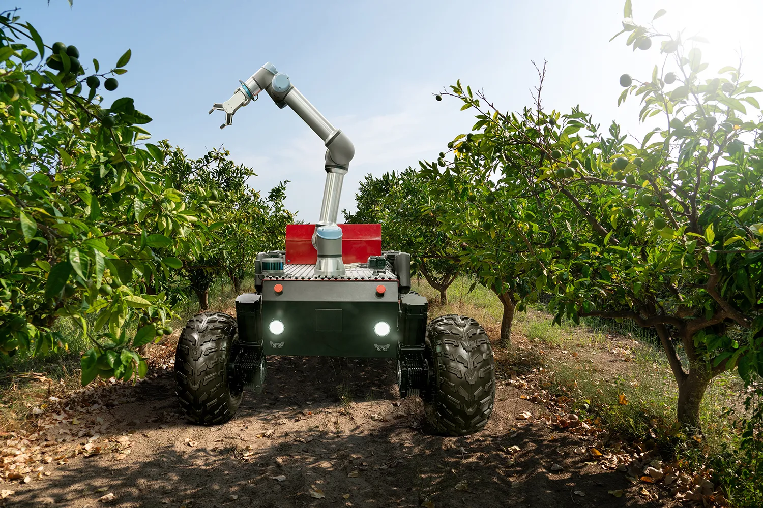 Photo - Precision Farming: How Russian AI Is Boosting Yields in Krasnodar