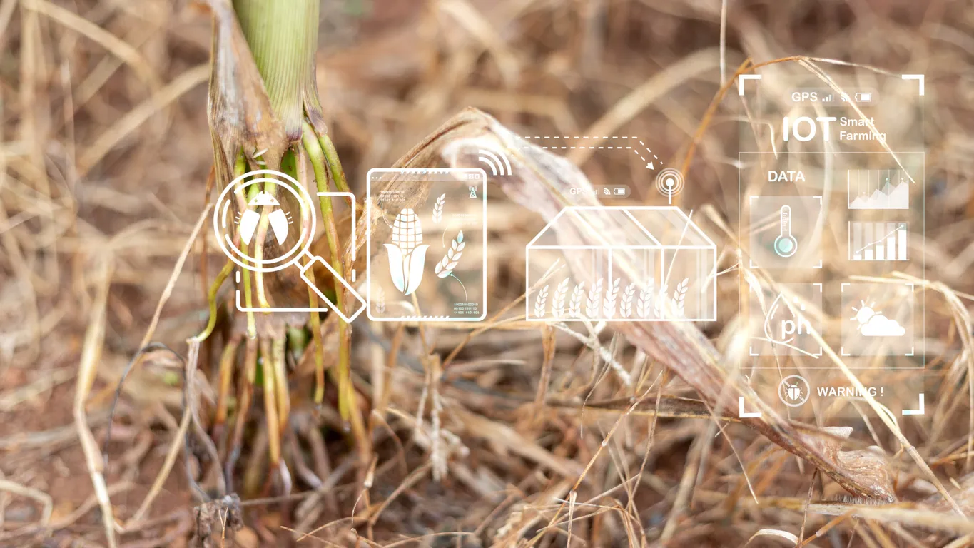 Russia Finds a Way to Detect Plant Diseases Early Using AI