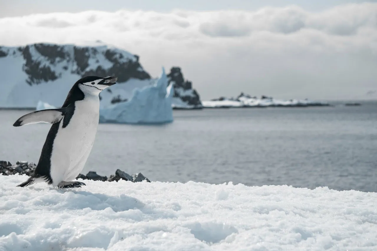Russian Scientists Develop Building Monitoring System for Arctic Conditions