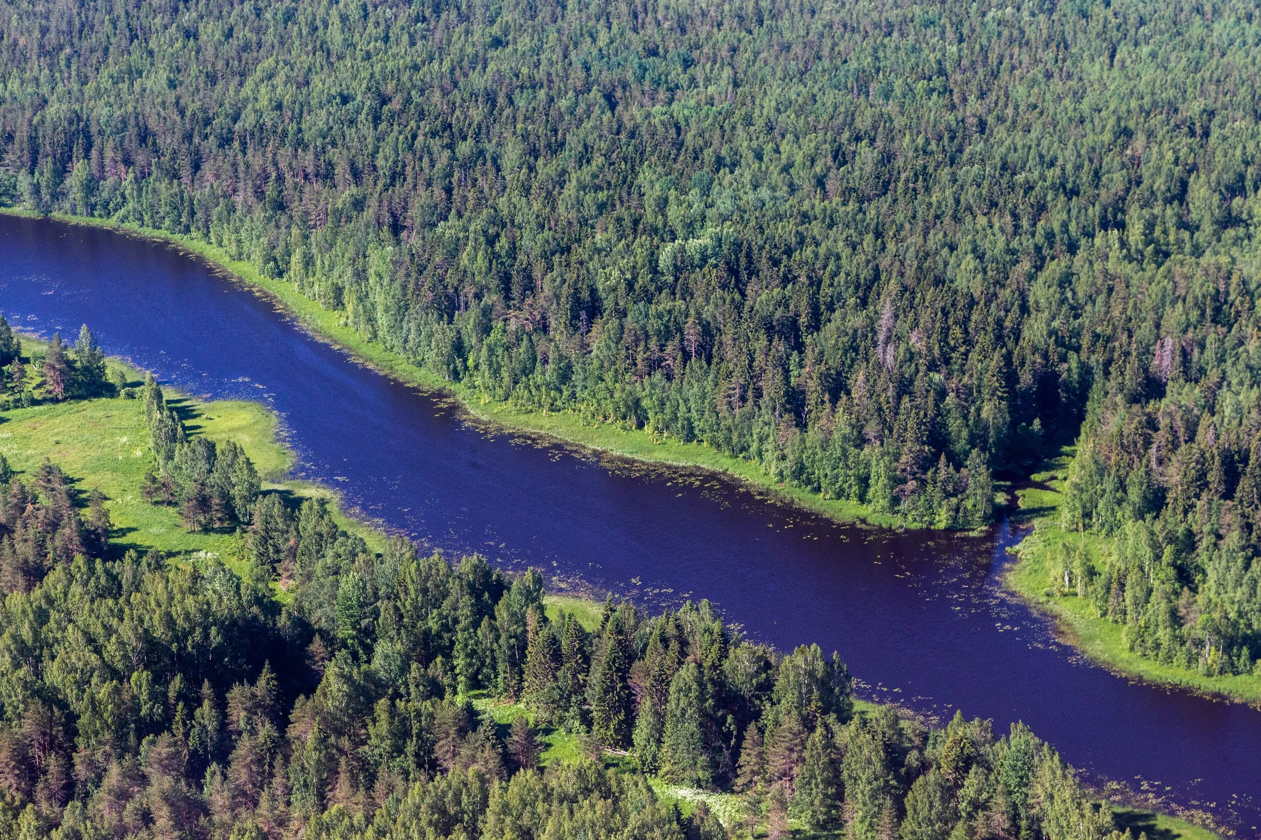 Vologda Region Deploys Digital Acoustic Monitoring in Forests