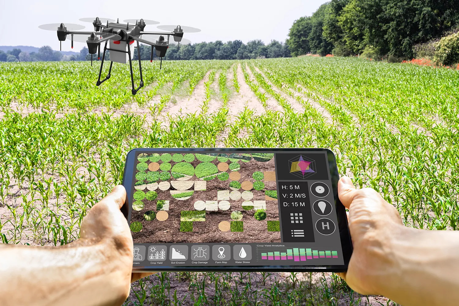 Photo - Flying to the Rescue: Russian Drone Targets Crop Disease with Precision AI