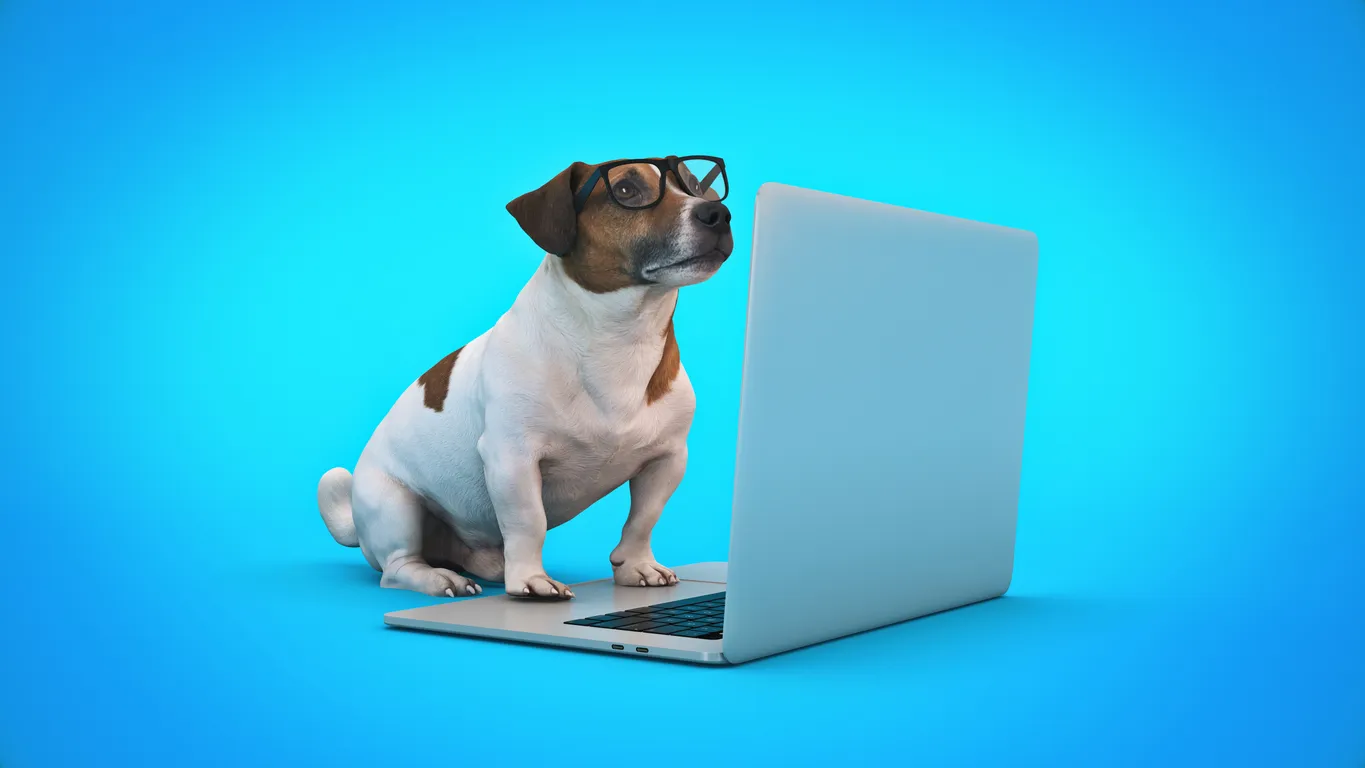 Якутский фильм про животных озвучил искусственный интеллект