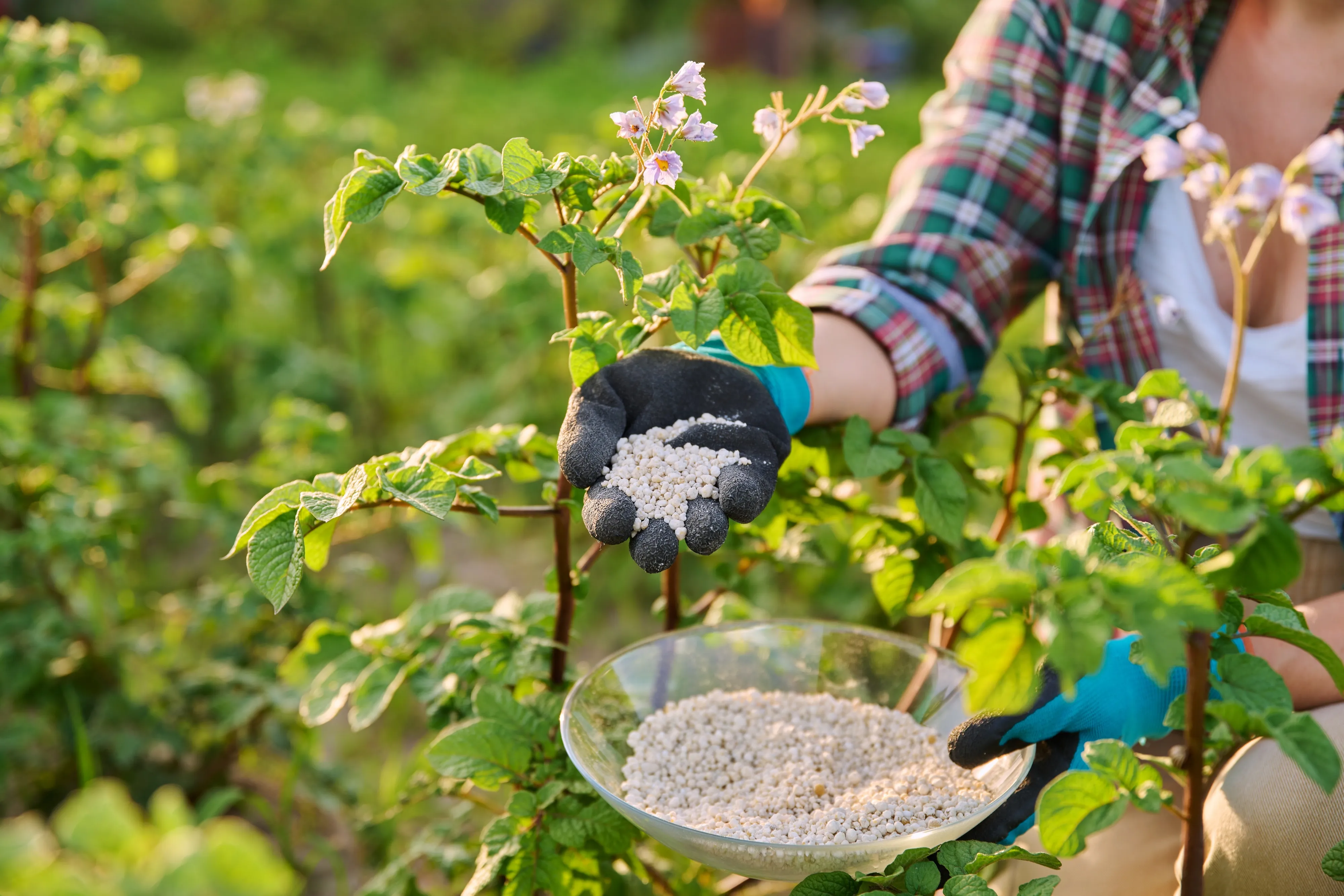 Russia Deploys Digital Autopilot to Boost Fertilizer Production Efficiency