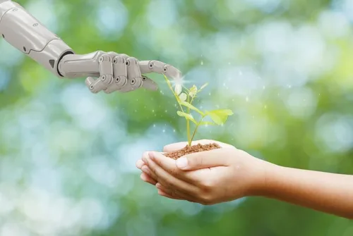 Russia Develops AI System to Restore Degraded Land