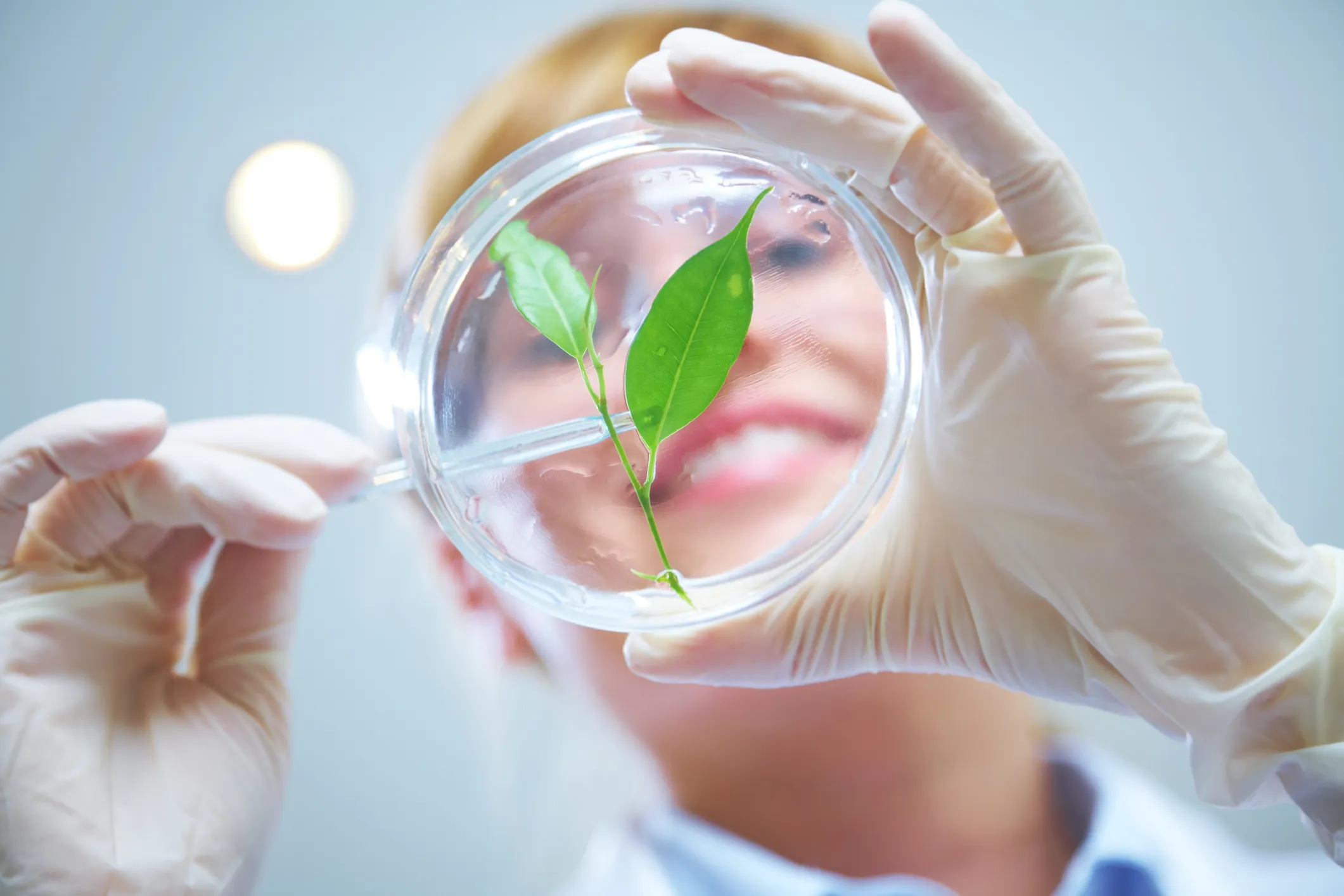 Russia Builds a Digital Ecosystem to Shield Agricultural Research