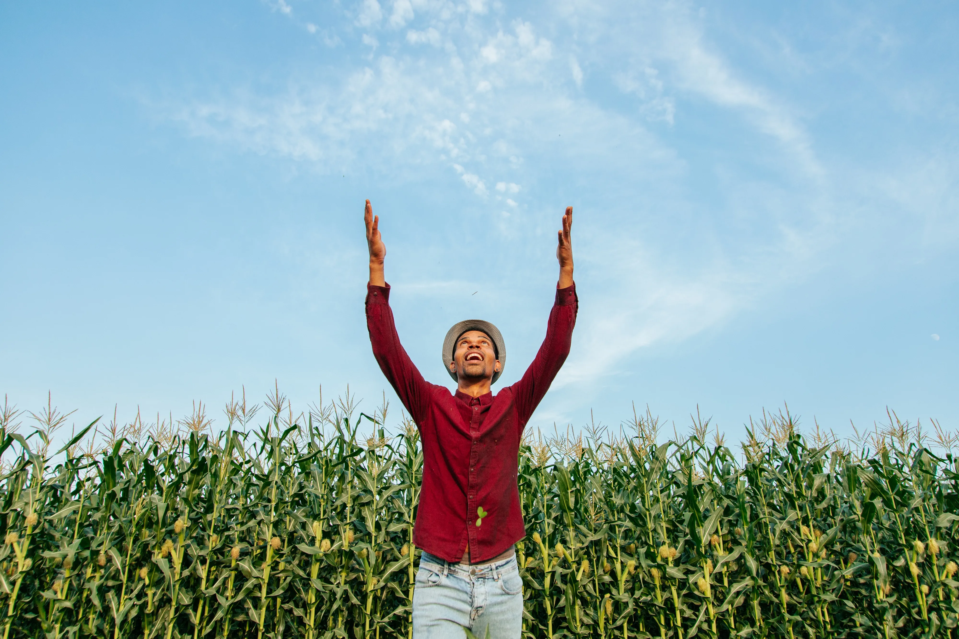 Russian Agritech Solutions Take Root on African Farms