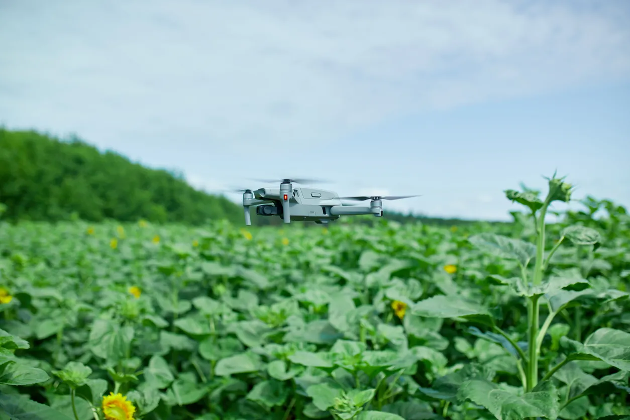 AI Drone to Target Weeds in Russian Fields Under Development