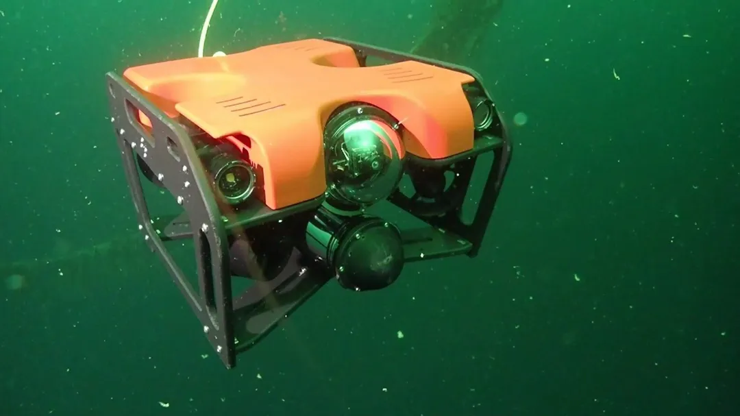 ASTU Robots Win Top Honors at Russian Cup Competition