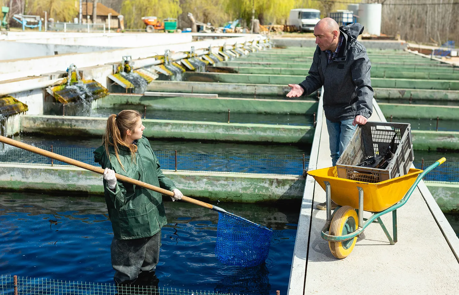Photo - Fish Farming Goes Digital: Russia’s Aquaculture Sector Embraces Modernization
