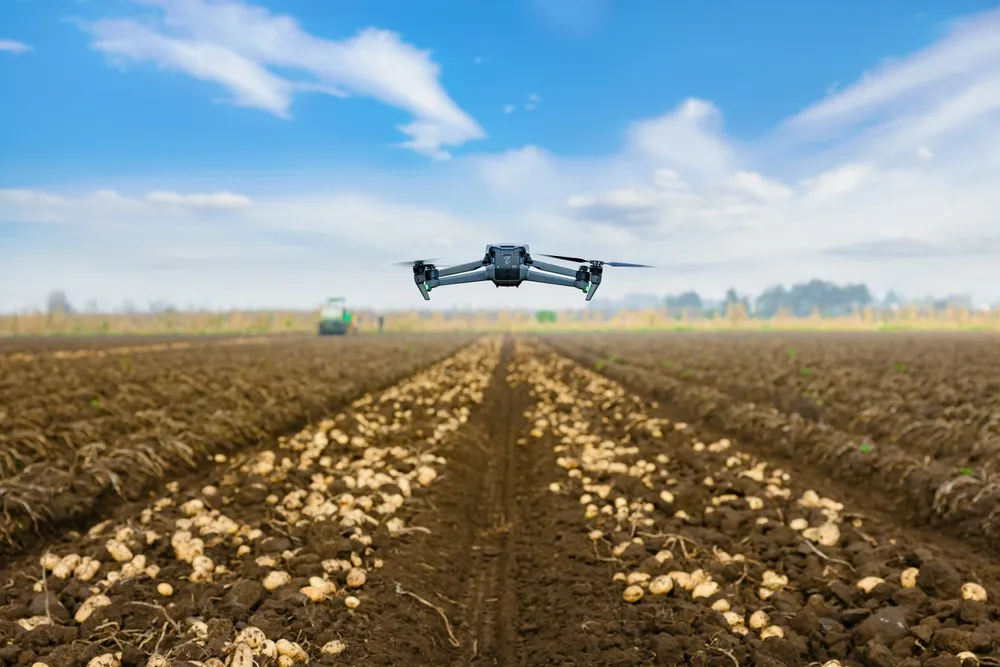 Российские учёные привели картофель и дроны к общему знаменателю