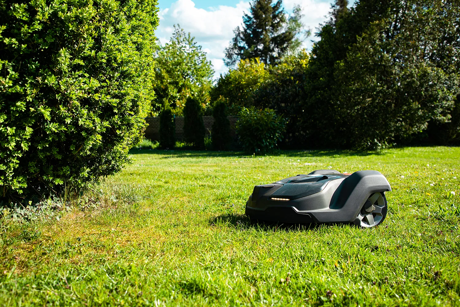 Photo - Cyber Lawnmowers in Kirov: Robotics Reach the City Parks