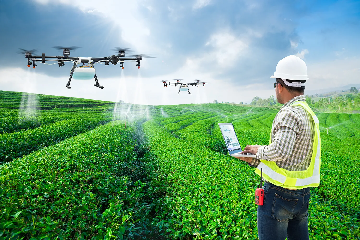Photo - Flying to the Rescue: Russian Drone Targets Crop Disease with Precision AI