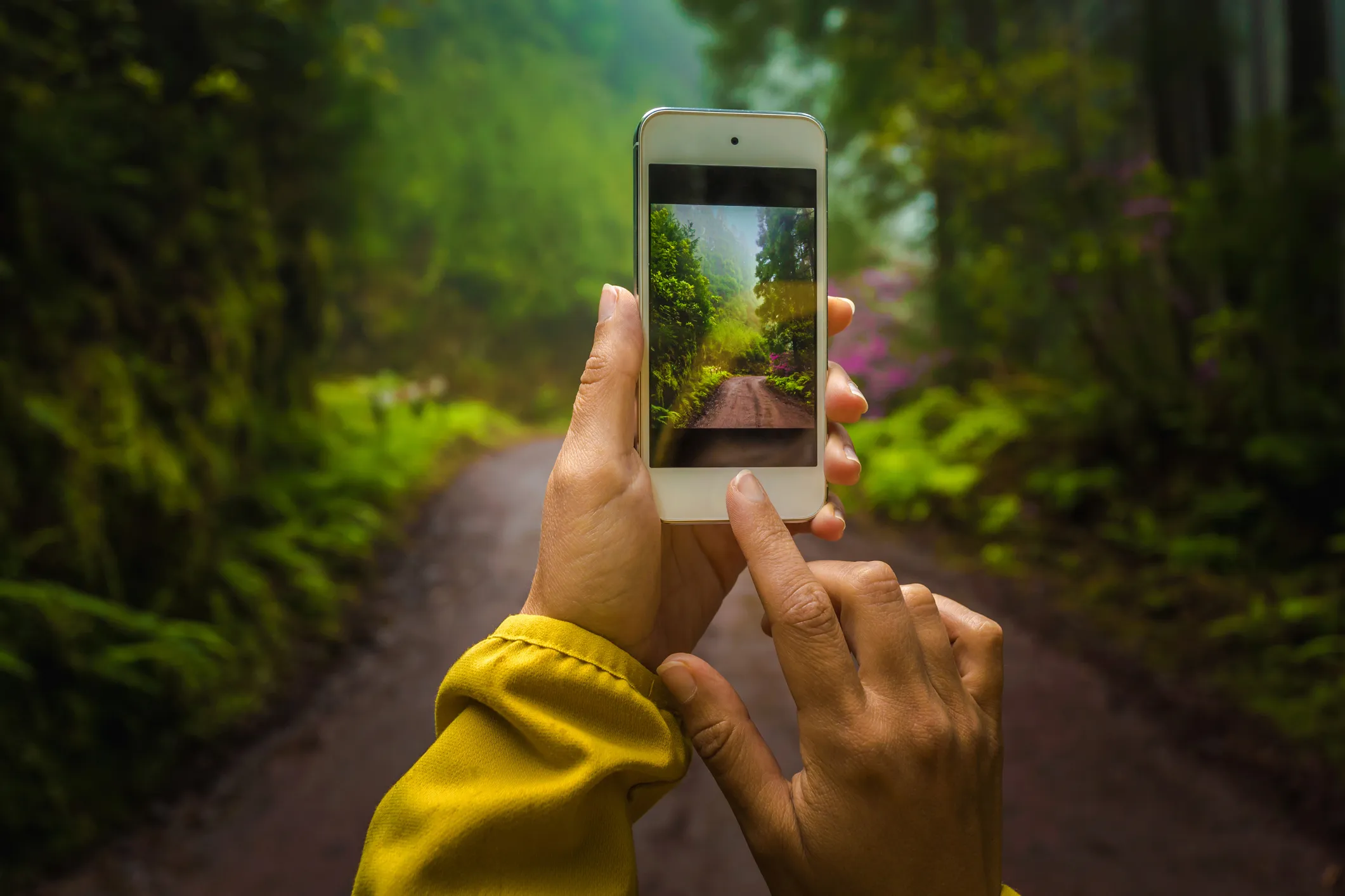 Russia Deploys AI-Driven Forest Monitoring to Combat Wildfires