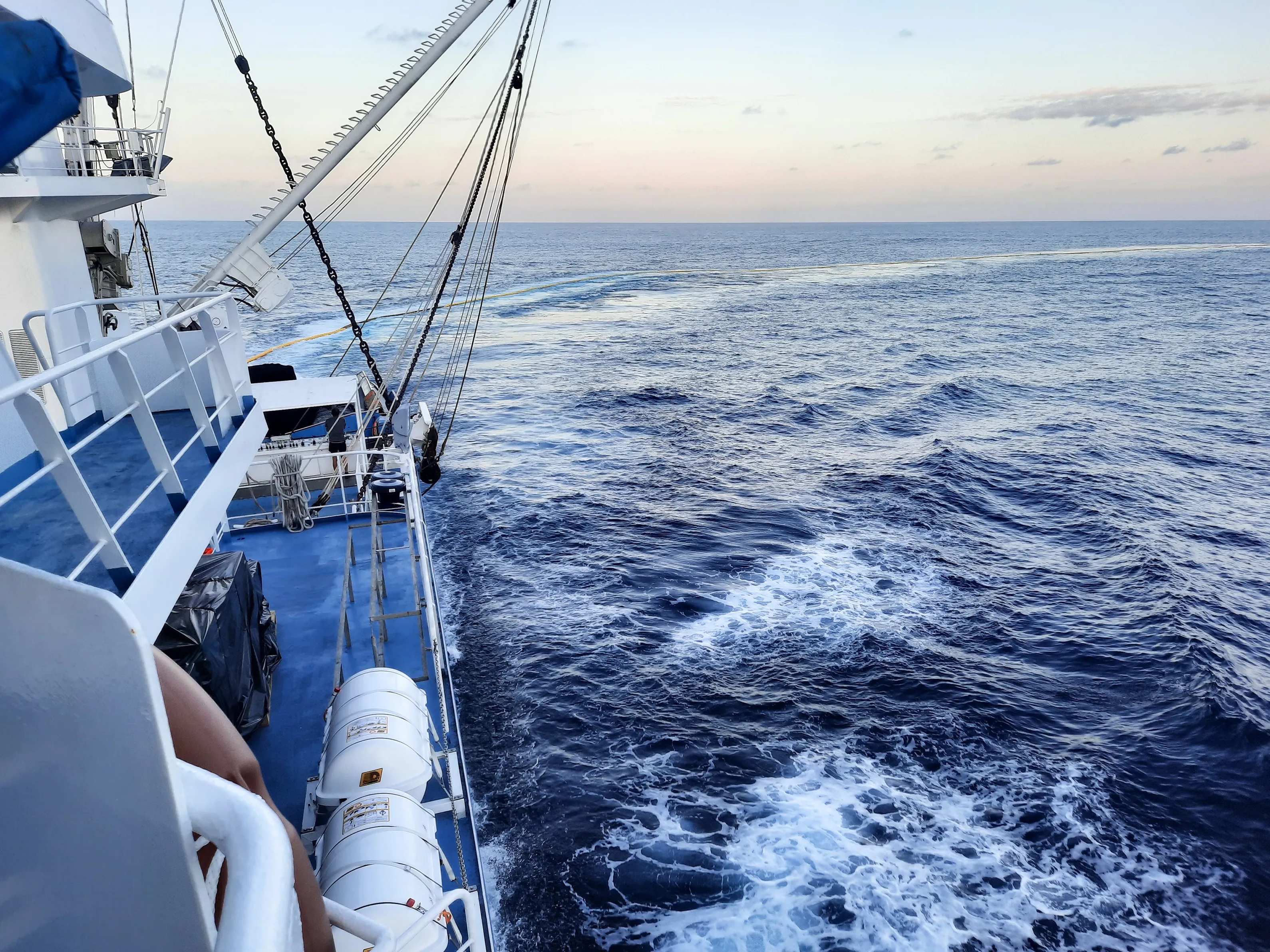 AI Casts a Digital Net to Protect Russia’s Fish Stocks