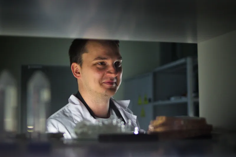 Russia Develops Nanolasers for Next-Generation Digital Devices