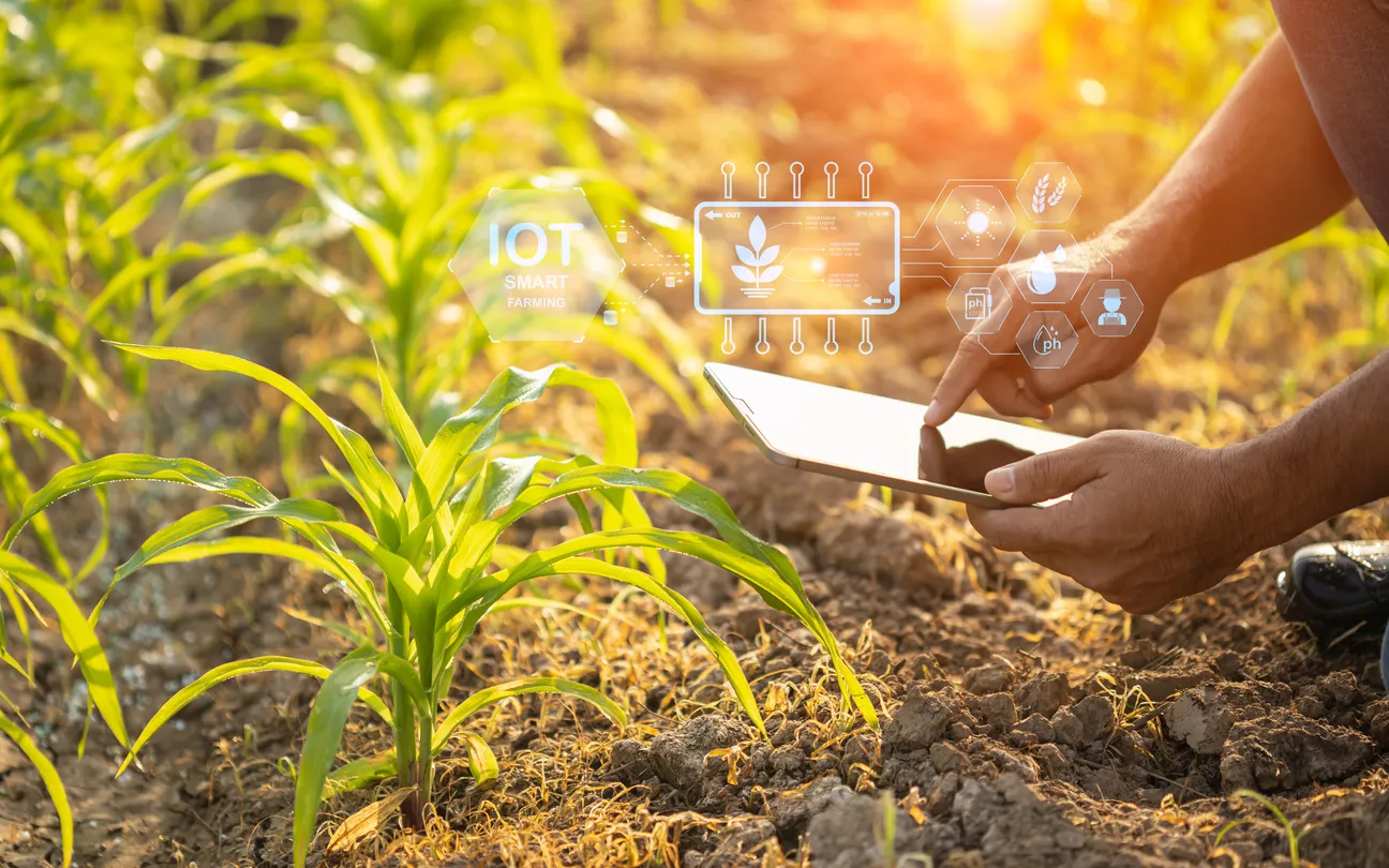Digital Technologies Are Transforming Russian Agriculture