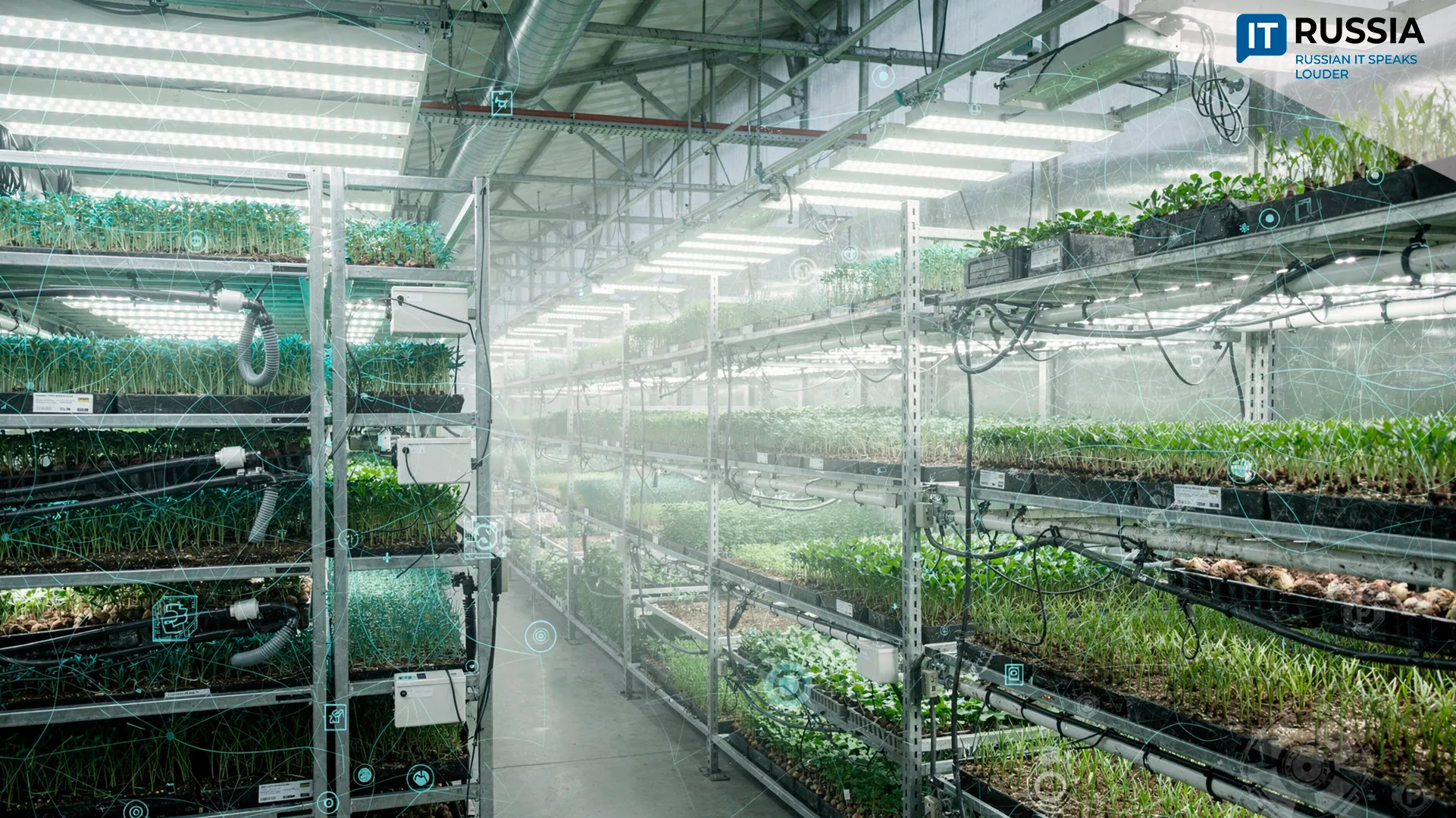 Digital 'Sleep' Platform Aims to Boost Greenhouse Yields