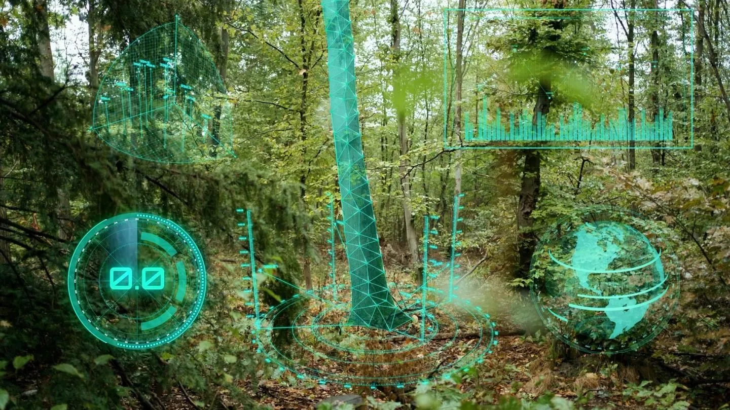 Russian Researchers Teach AI to Measure Forest Carbon From Satellite Images