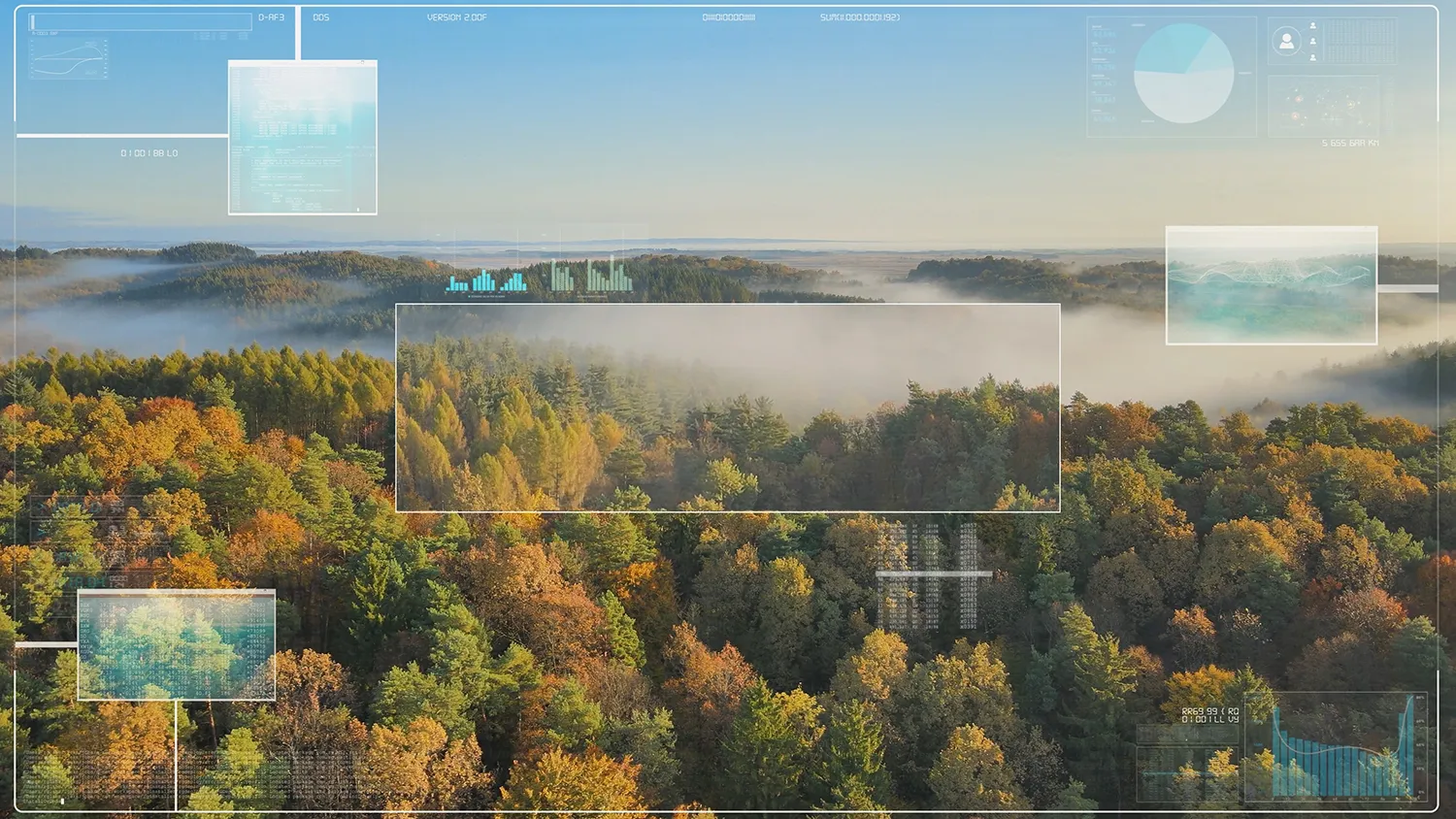 Photo - Digital Forest: AI Steps In to Protect Nizhny Novgorod’s Ecosystems