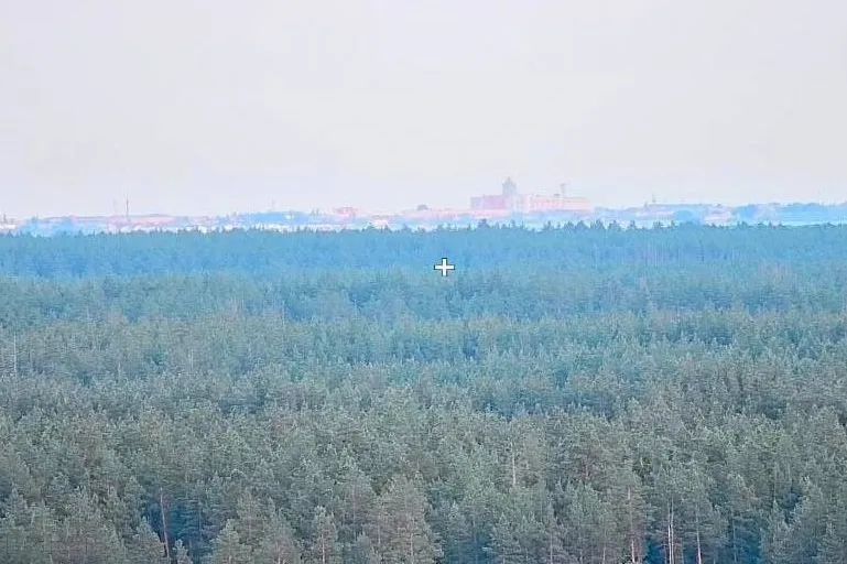 Digital Eyes to Monitor Wildfires in Protected Forests Across Russia