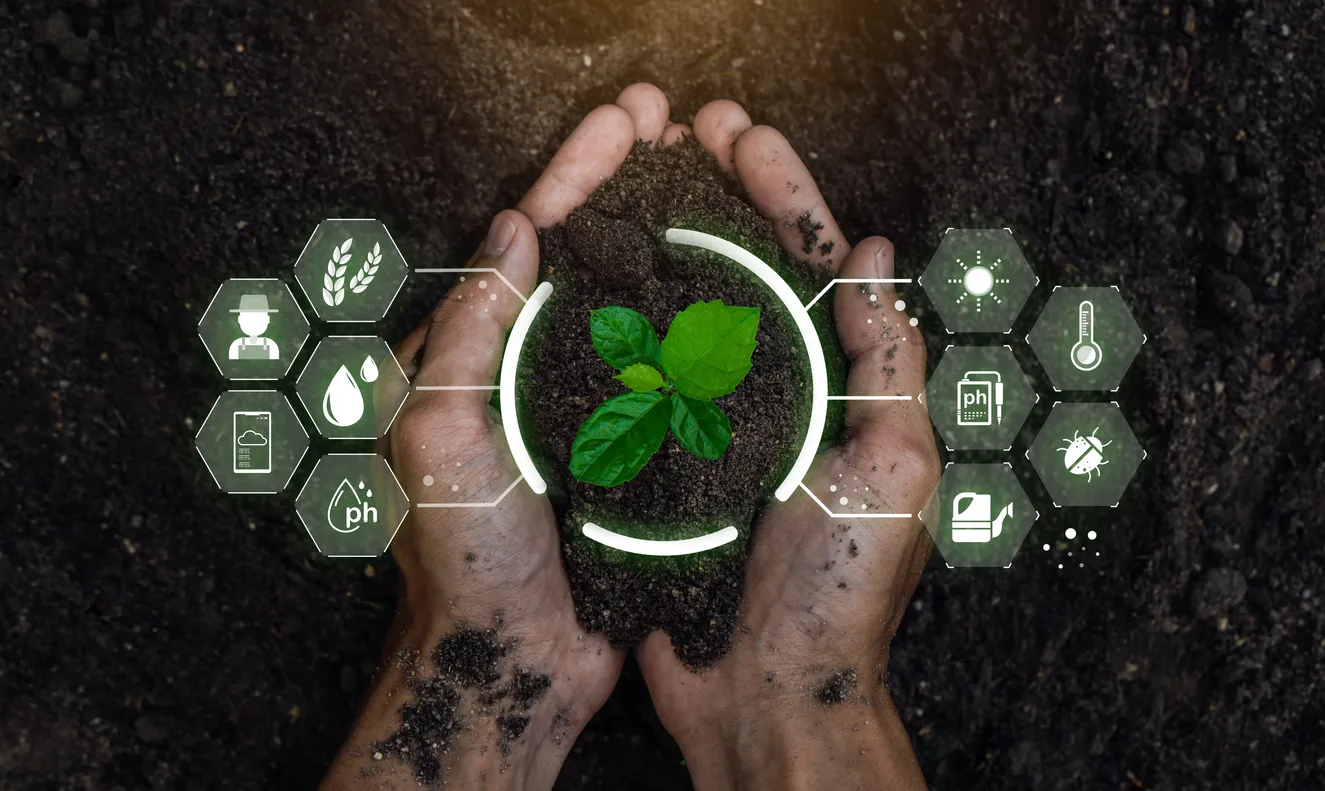 Russian Scientists Unveil Agricultural Innovations